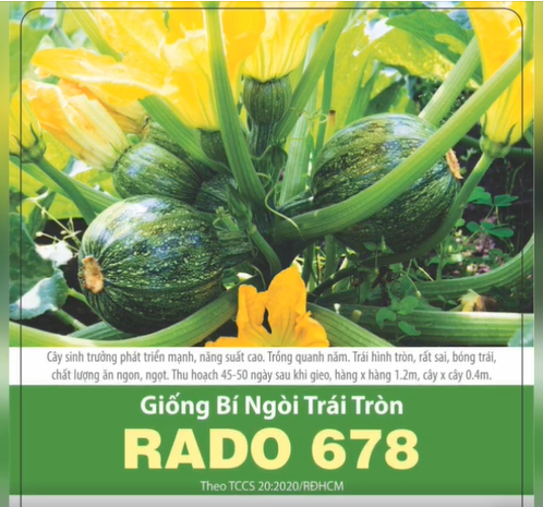 Hạt Giống Bí Ngòi Tròn Sai Trái (1gr)