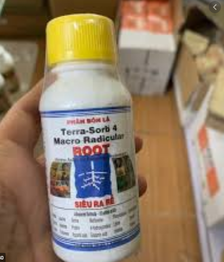Phân bón - Siêu ra rễ terra-sorb 4 macro radicular grow more 100ml