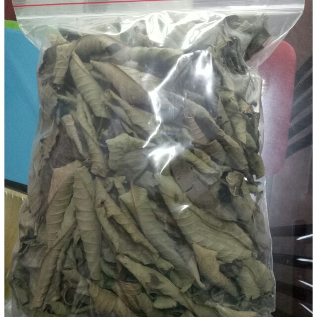 200gr lá ổi khô hàng loại 1 GT207