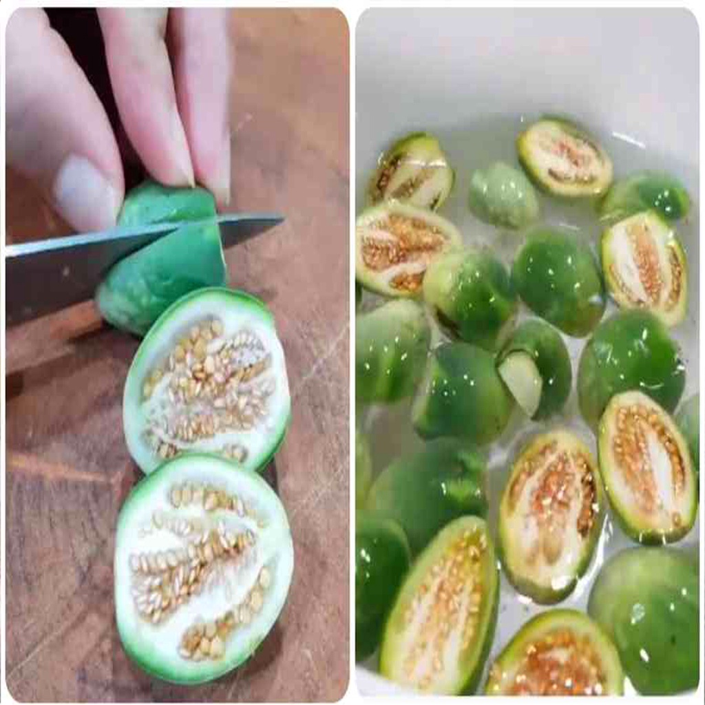 Cà Đắng Tây Nguyên ( 1kg) DSFDF