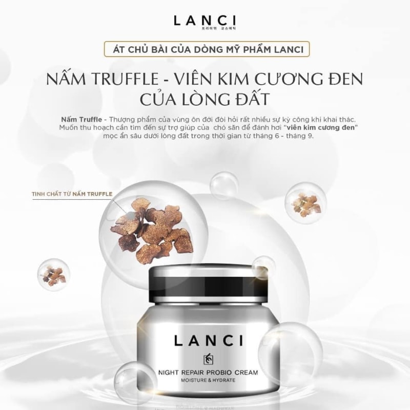 Kem Dưỡng Trắng Phục Hồi Da Lanci - Kem Đêm