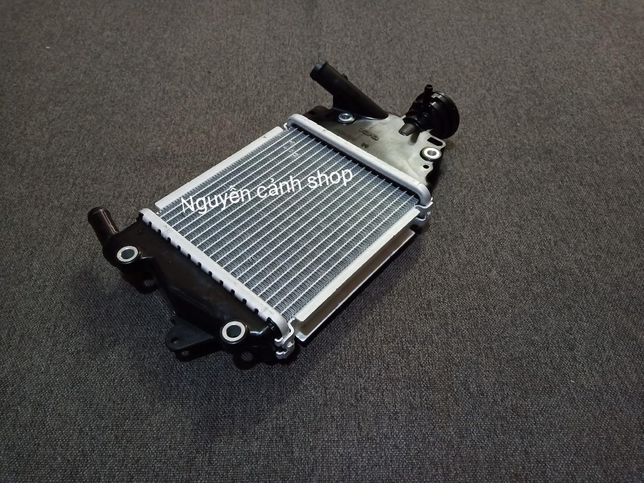 Két nước xe vario