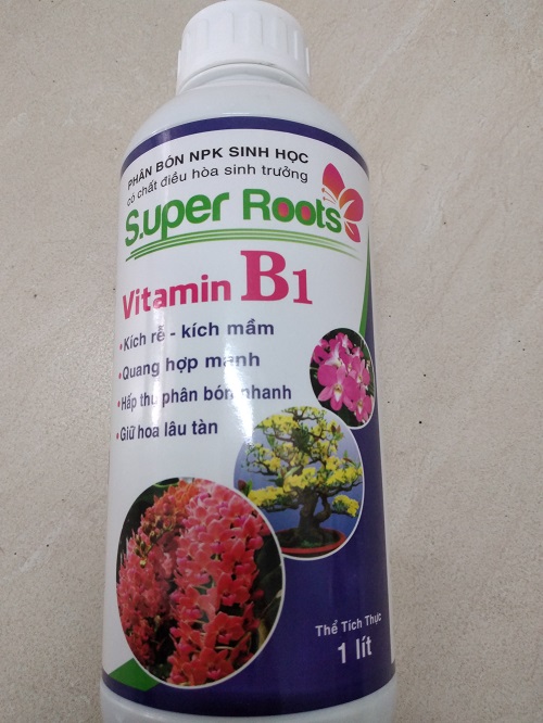 PHÂN BÓN SINH HỌC SUPER ROOTS VITAMIN B1 Chai 1 lít