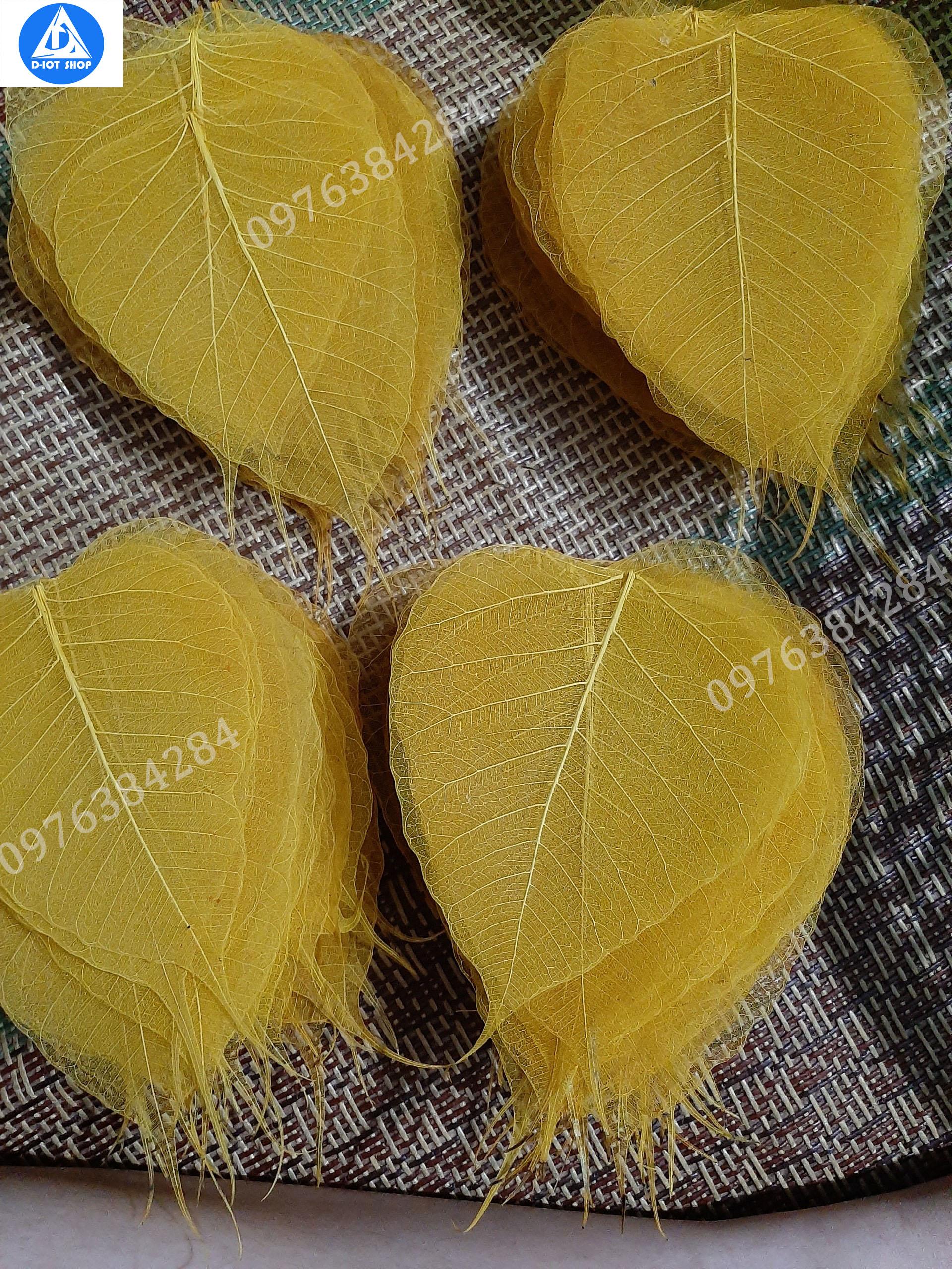 Set 100 lá bồ đề nhuộm vàng to(tặng 5 lá)
