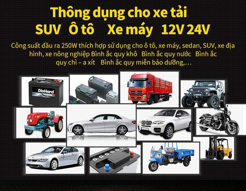 Ắc quy sạc tự động xung đồng 12V 24V