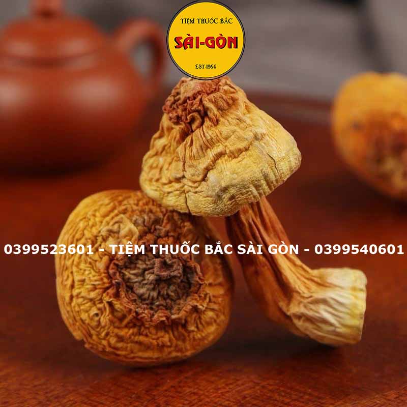 Nấm Tùng Nhung 100gram HÀNG TỰ NHIÊN (Nấm quý nấu canh dưỡng sinh, lẩu nấm, phục hồi sức khỏe)