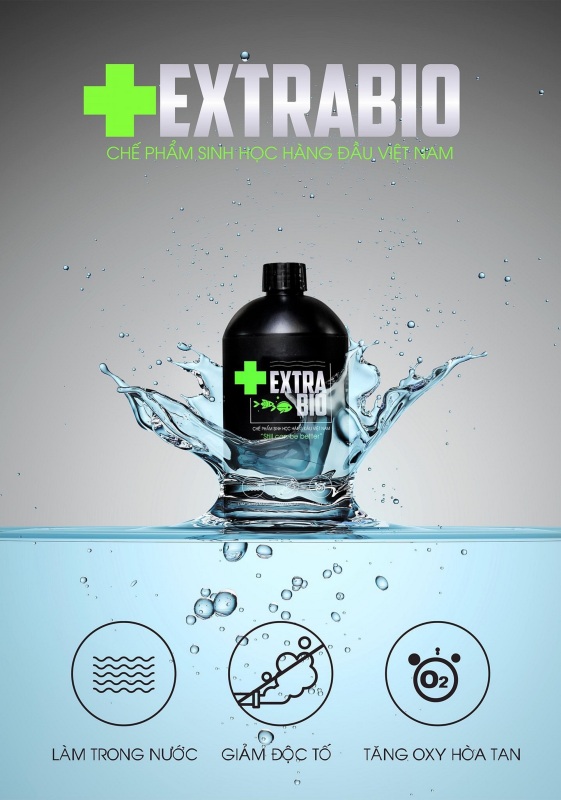 Extra bio tạo vi sinh cho hồ cá, vi sinh nước 500ml