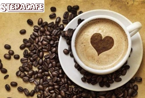 SteppaCafe - Cà phê hòa tan Regular 21 gói/hộp