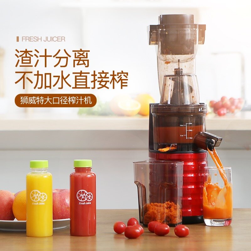 Máy Ép Chậm dùng cho nhà hàng Mode SAVTM JE 31