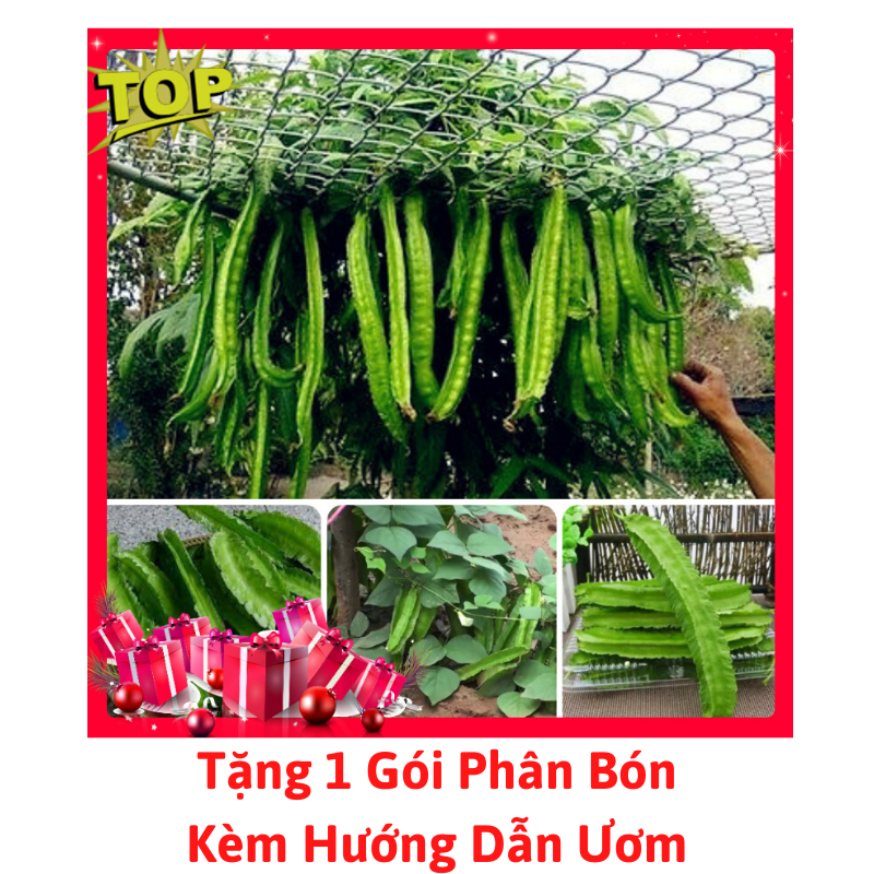 [Lấy mã giảm thêm 30%] Gói Hạt Giống Đậu Rồng (Đậu Khế)