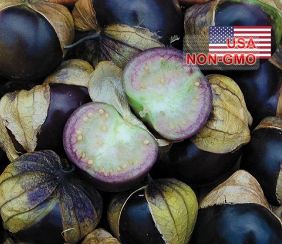 Combo 1 gói Hạt Giống Cà Chua Tomatillo - Tím (Physalis ixocarpa), 1 gói kích nảy mầm, 1 gói phân bón nảy chồi ra lá