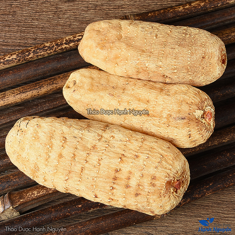 Củ thiên ma khô 100g, củ to, sạch, đẹp - Thảo Dược Hạnh Nguyên