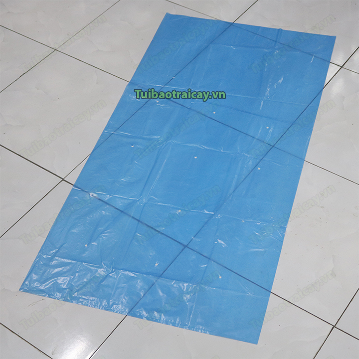 2c Túi bao buồng chuối nilon xanh 70x140cm
