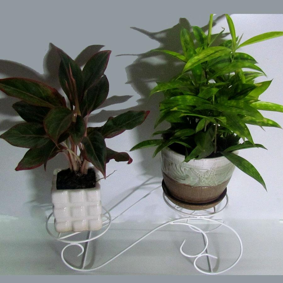 Kệ- Gía đỡ chậu hoa mini