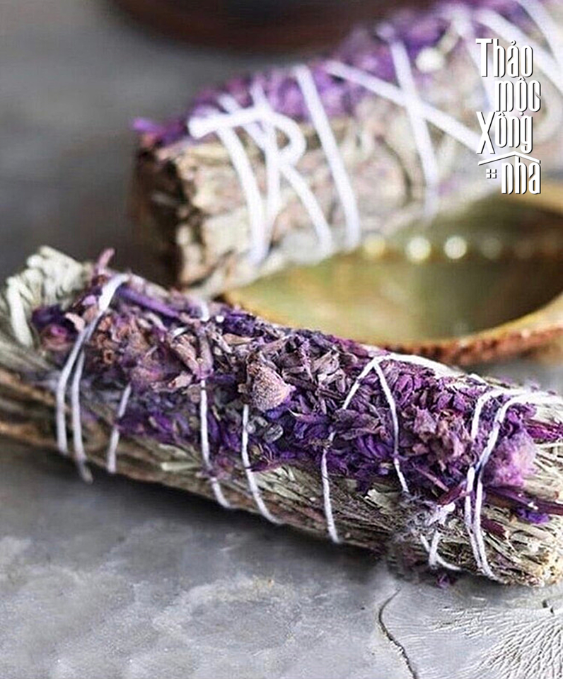 Xô tím - Lavender Sage - Thảo Mộc Xông Nhà