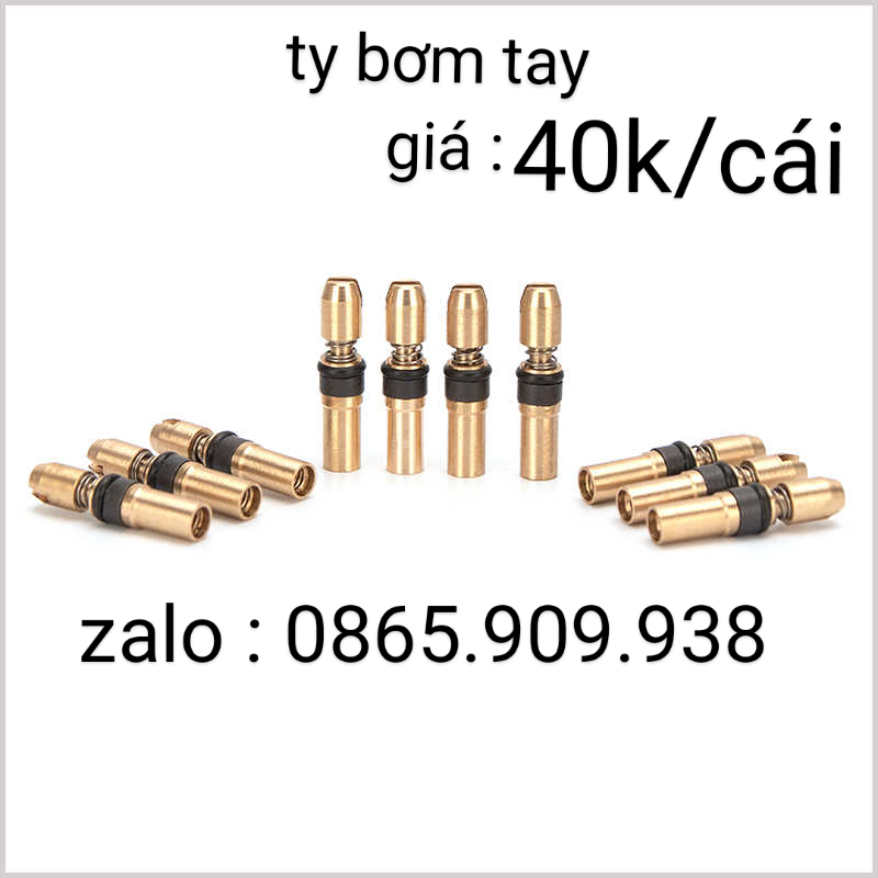 Ti bơm cao áp ô tô