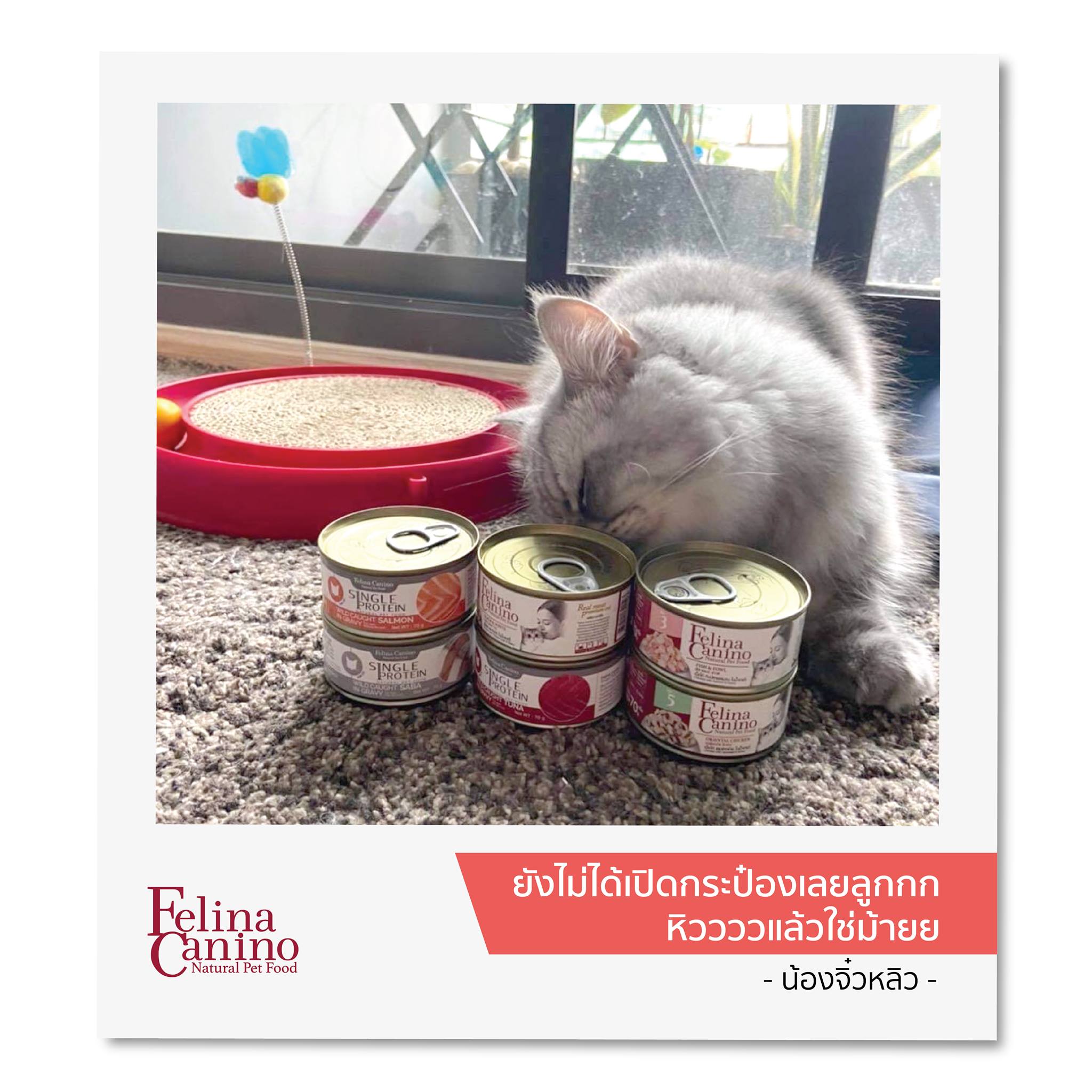 Felina Canino Wet Food with Meat Pieces and Stewed Broth for Cats