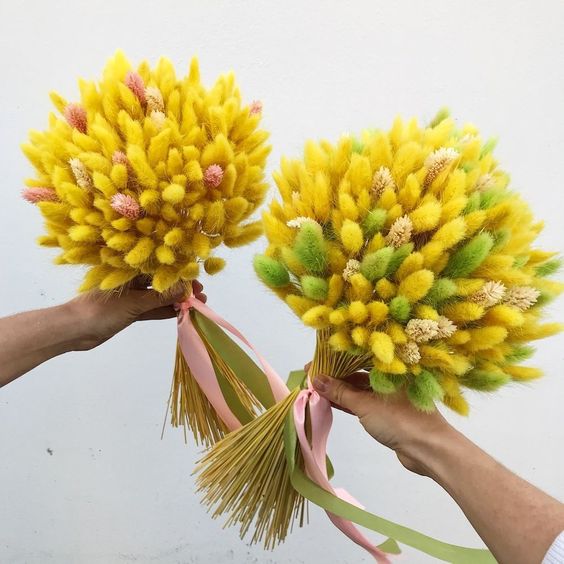 hoa khô trang trí - cỏ đuôi thỏ ( 10 bông )