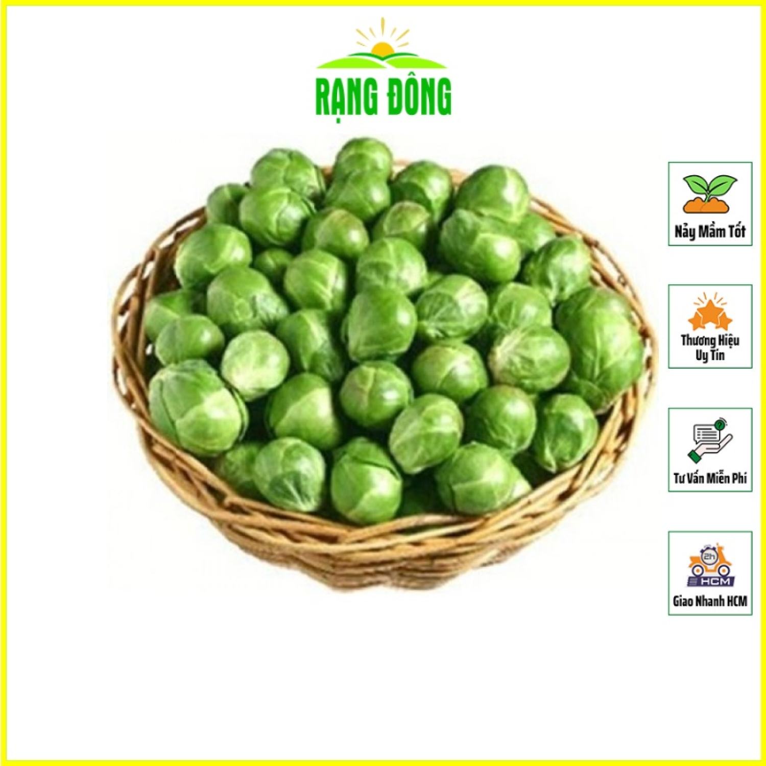 Hạt giống bắp cải tí hon xanh trồng quanh năm - hạt giống rạng đông