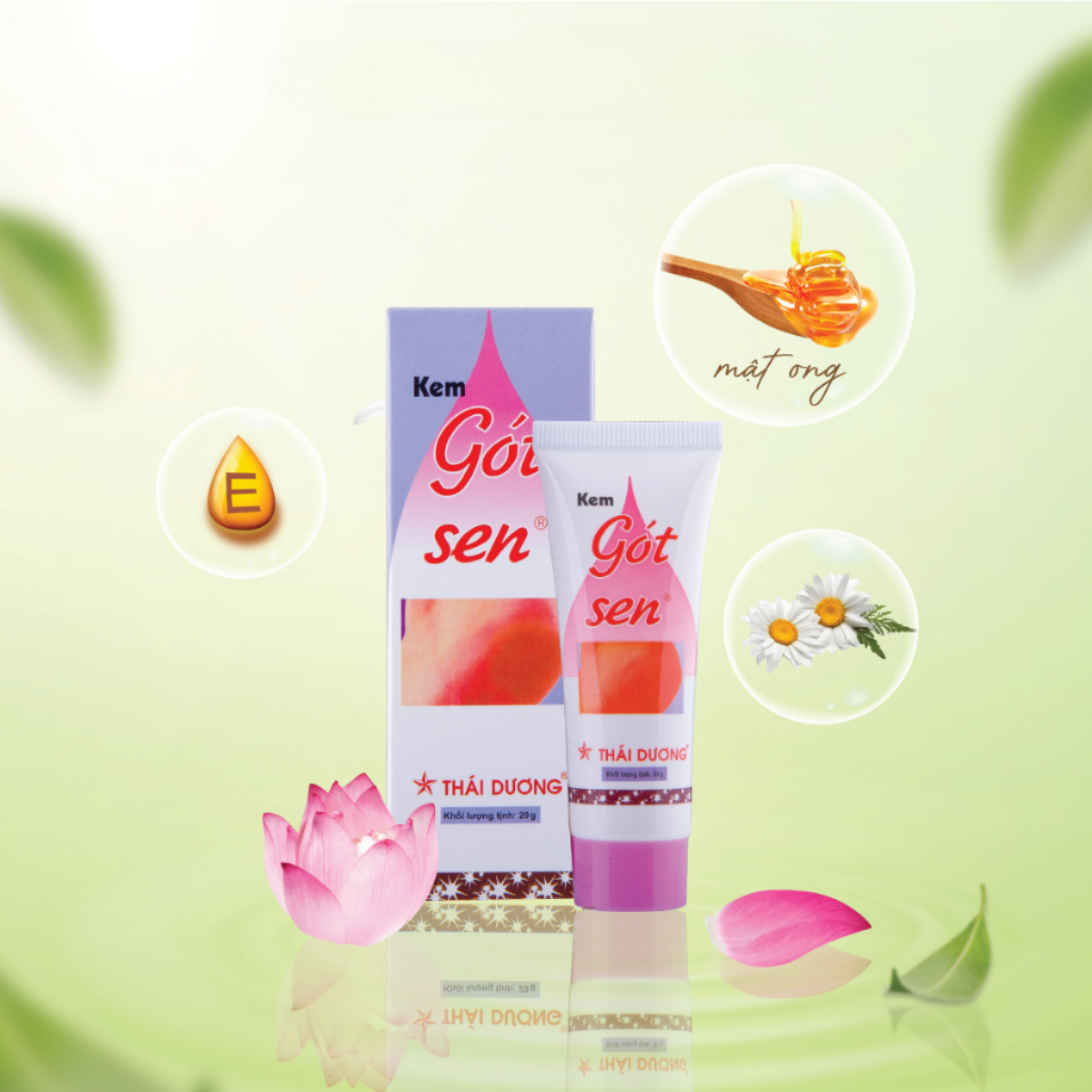Kem ngừa nứt gót chân Gót Sen Thái Dương (20g)