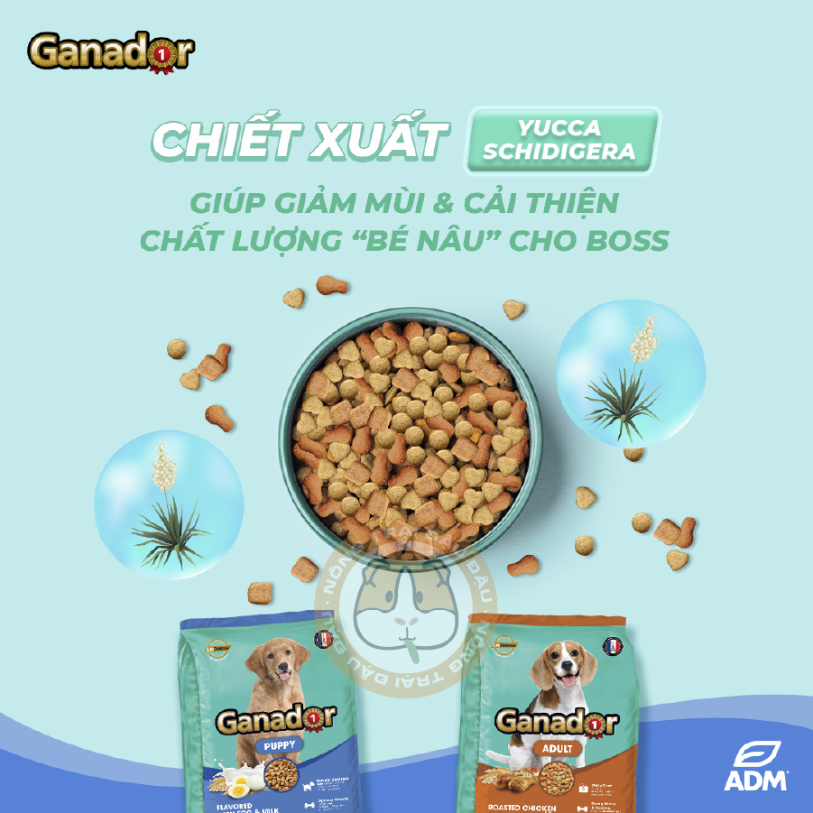 Thức Ăn Hạt Ganador Cho Chó 400g