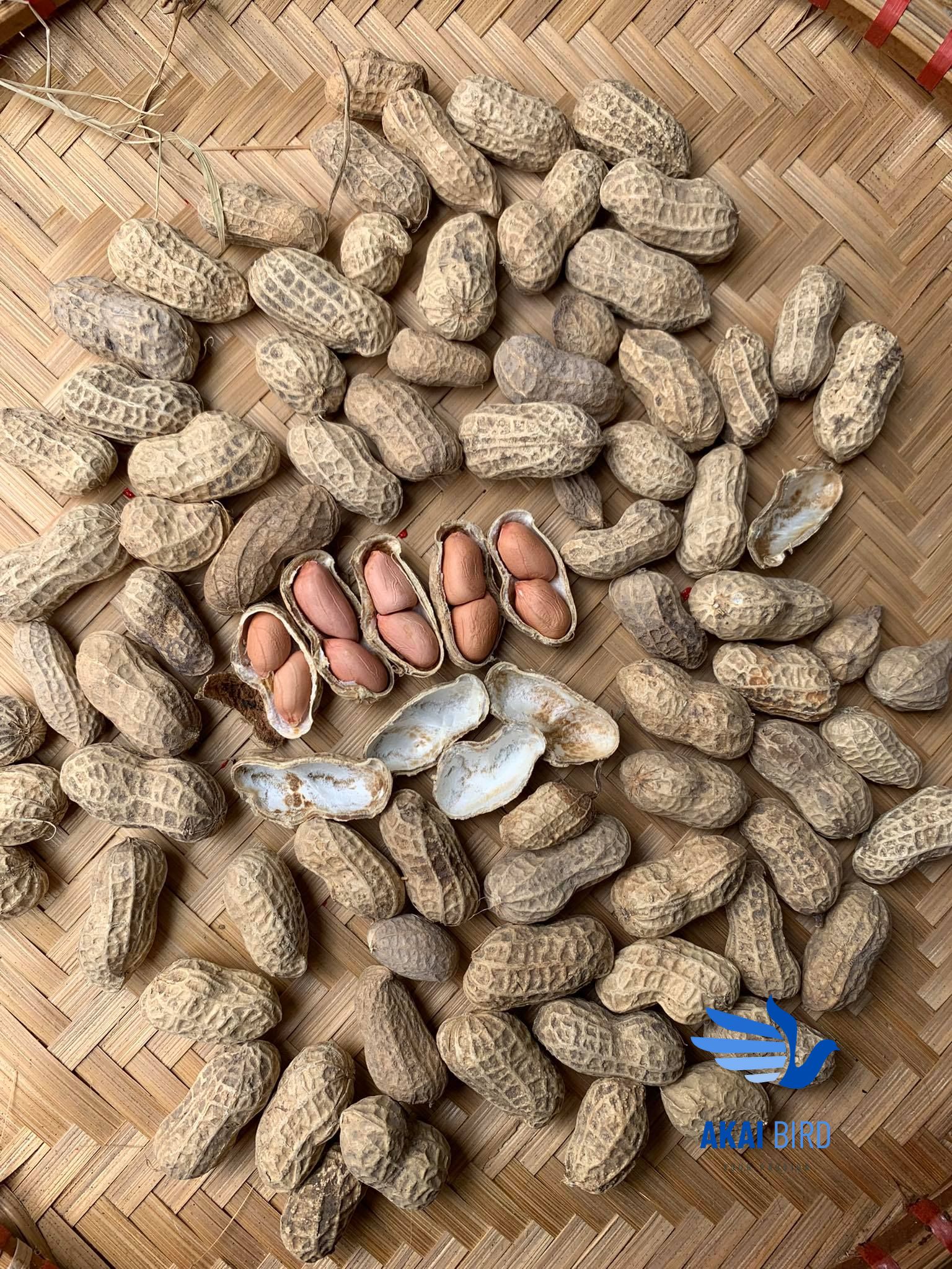 Củ Lạc Nguyên Vỏ Đã Được Phơi Khô