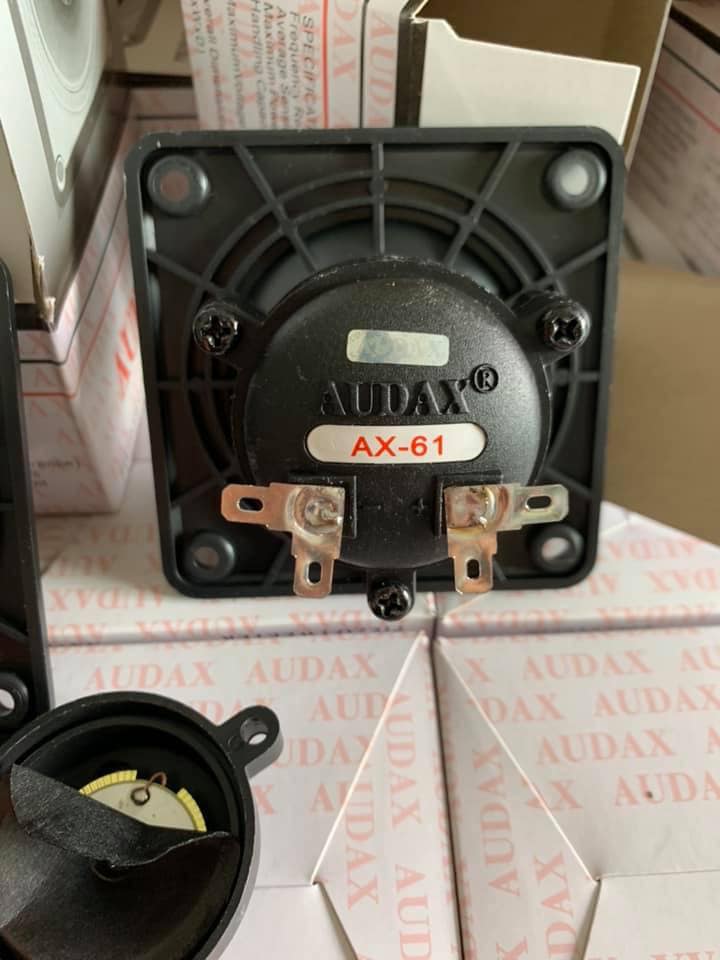 Loa AX61