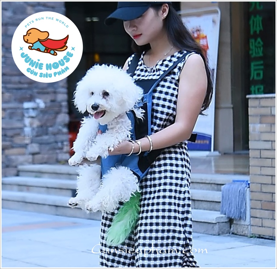 Địu yếm jean du lịch cho chó lớn
