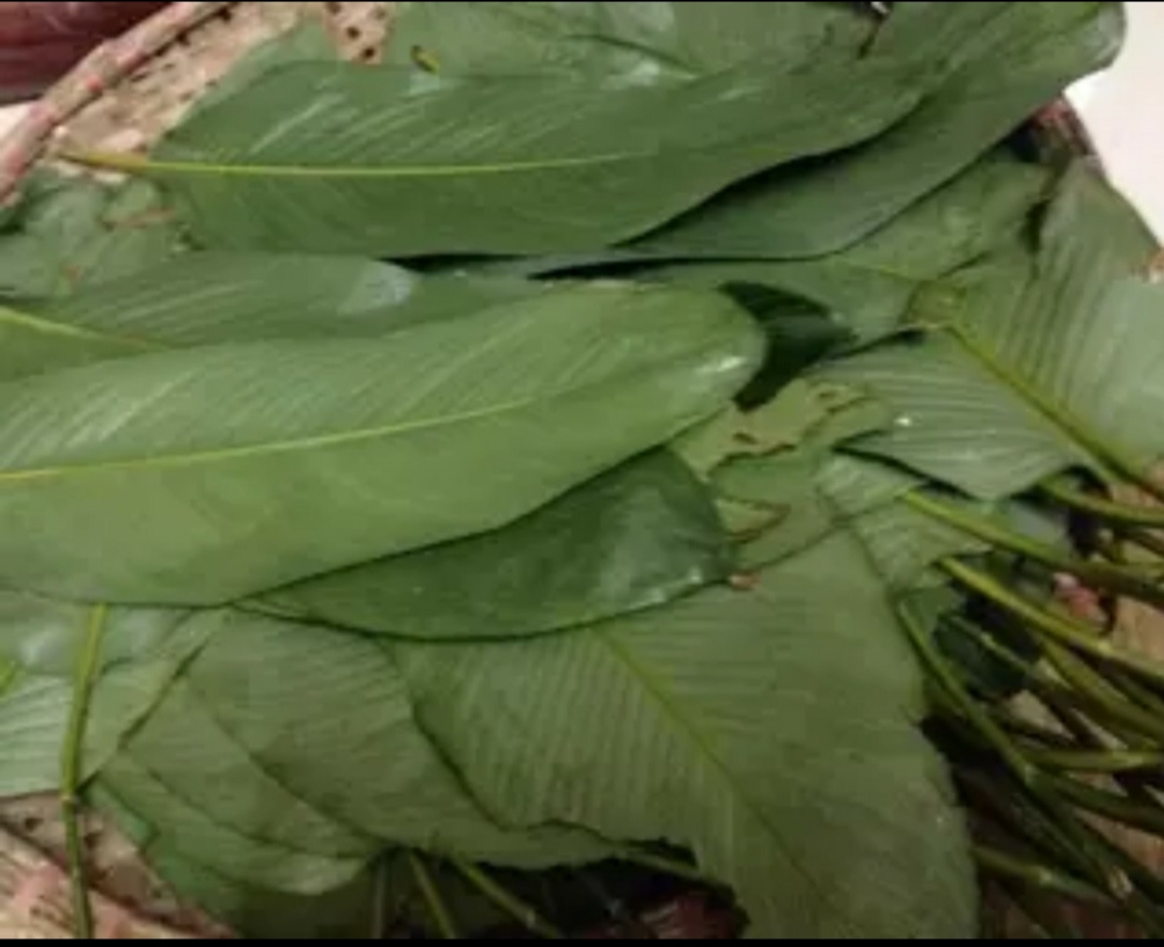 3 Cái Bánh Chưng Lớn Cô 4 Đặc Sản Bình Định (1 cái khoảng 400 gram luôn lá)