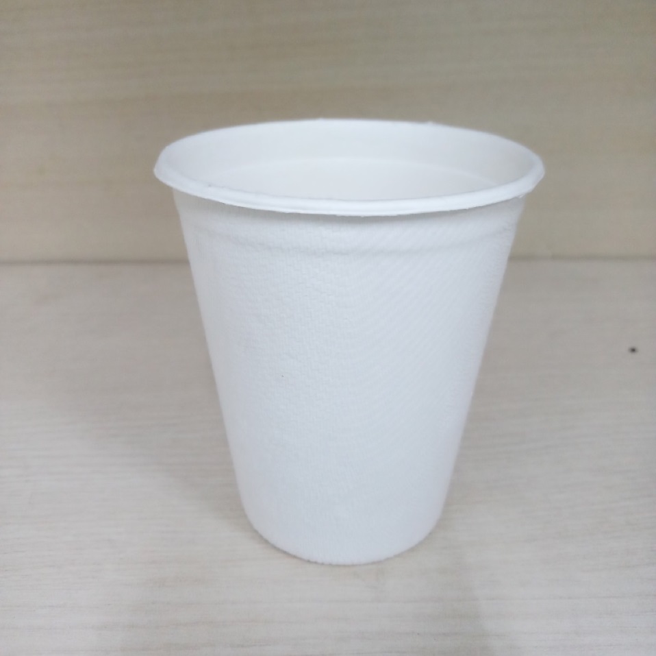 Ly Giấy Bã Mía Thái Lan 260ml (10 cái/xấp)