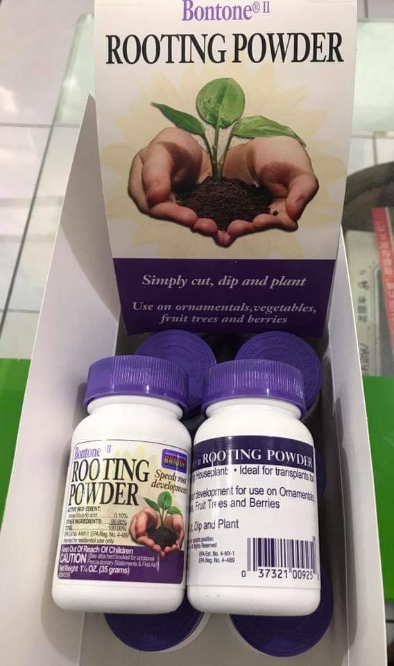 Rooting Powder Mỹ