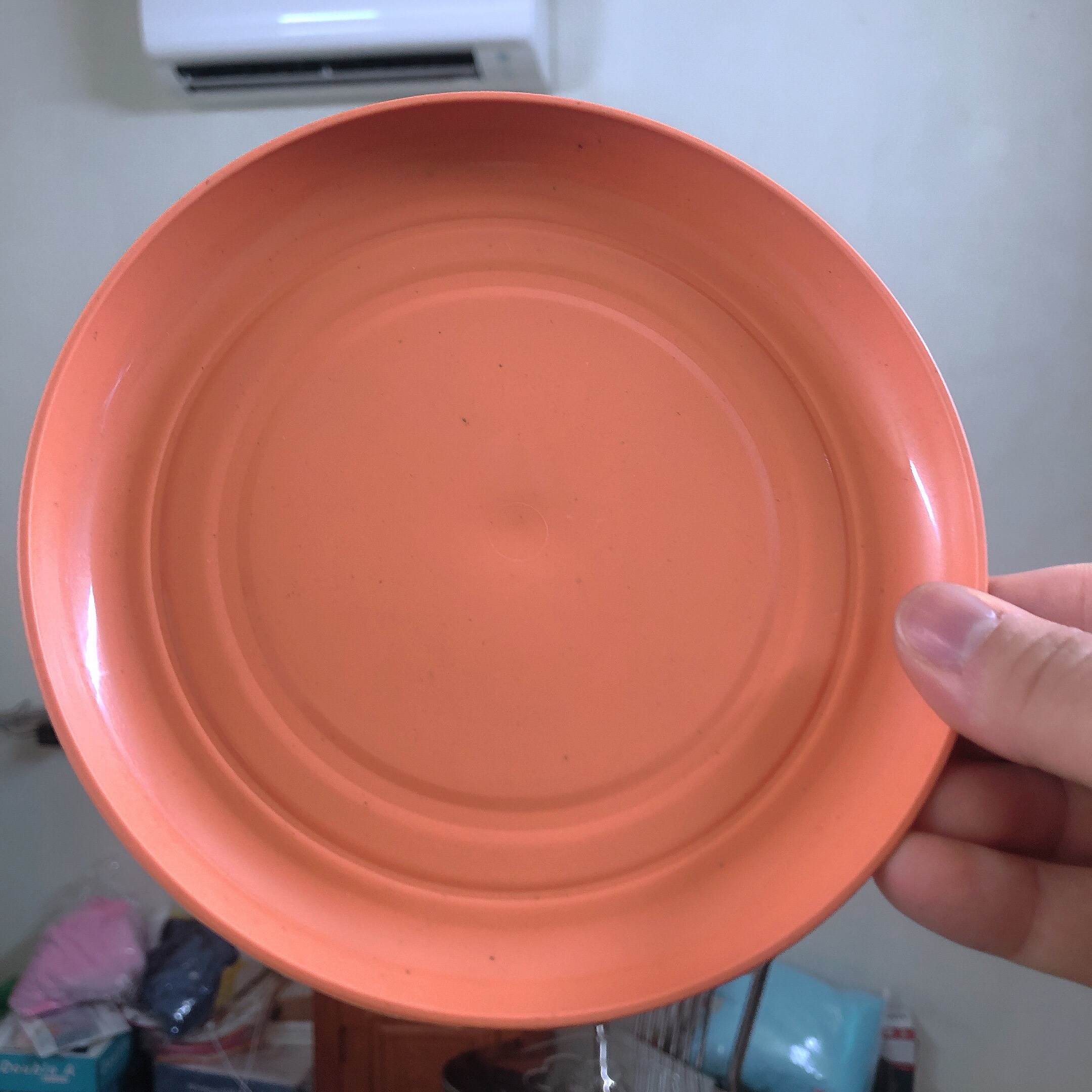 Khay/Đĩa nhựa đựng thực phầm  chất liệu lúa mạch đi picnic (1 chiếc)
