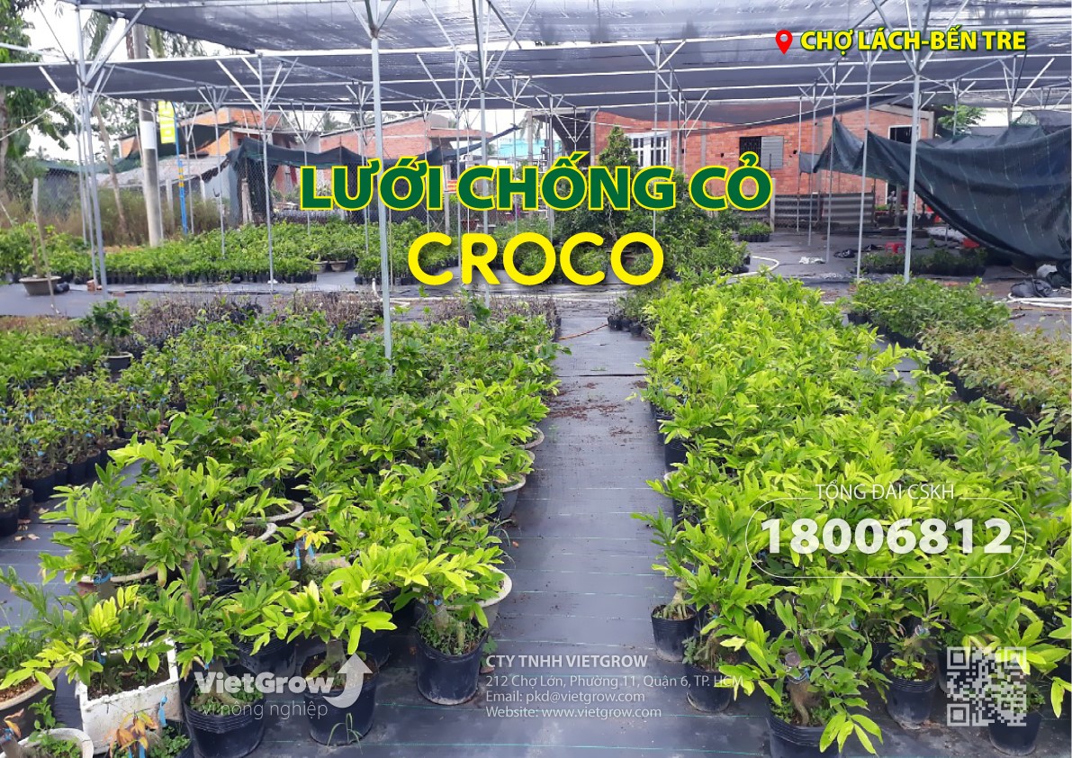 LƯỚI CHỐNG CỎ / BẠT CHỐNG CỎ /BẠT DIỆT CỎ THƯƠNG HIỆU CROCO