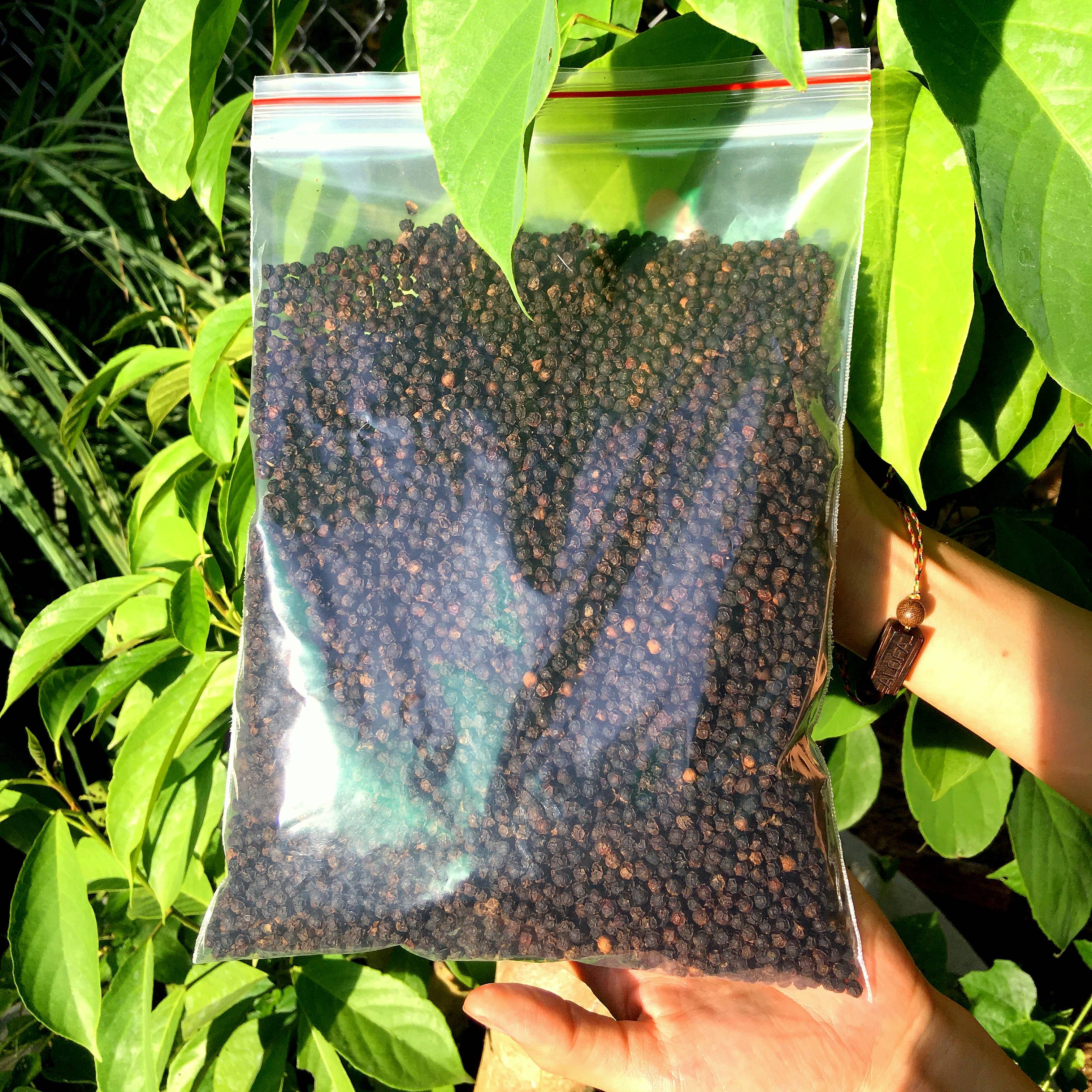 Hạt tiêu đen phơi khô sạch loại 1