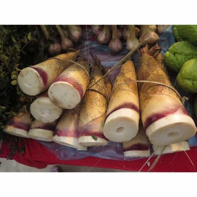 Combo 3kg măng đắng quê