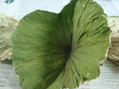 Lá sen khô 1kg hàng chuẩn loại 1