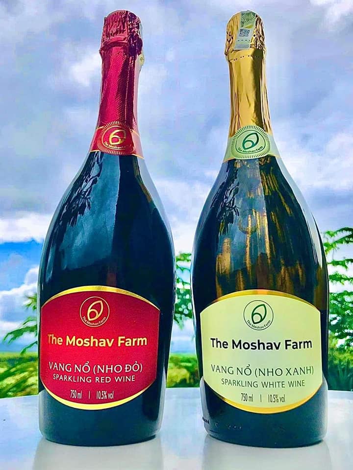 Rượu vang nổ đỏ và trắng Sparkling red and white wine The