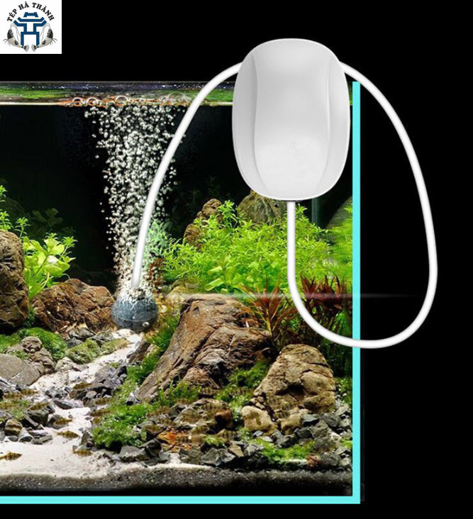 Máy Sủi Siêu Êm Siêu Đẹp Siêu Rẻ Sử Dụng Chân Cắm USB - Máy Sủi Cho Bể Cá Cảnh (Tặng 1m Dây Sủi Và 1 Quả Sủi)
