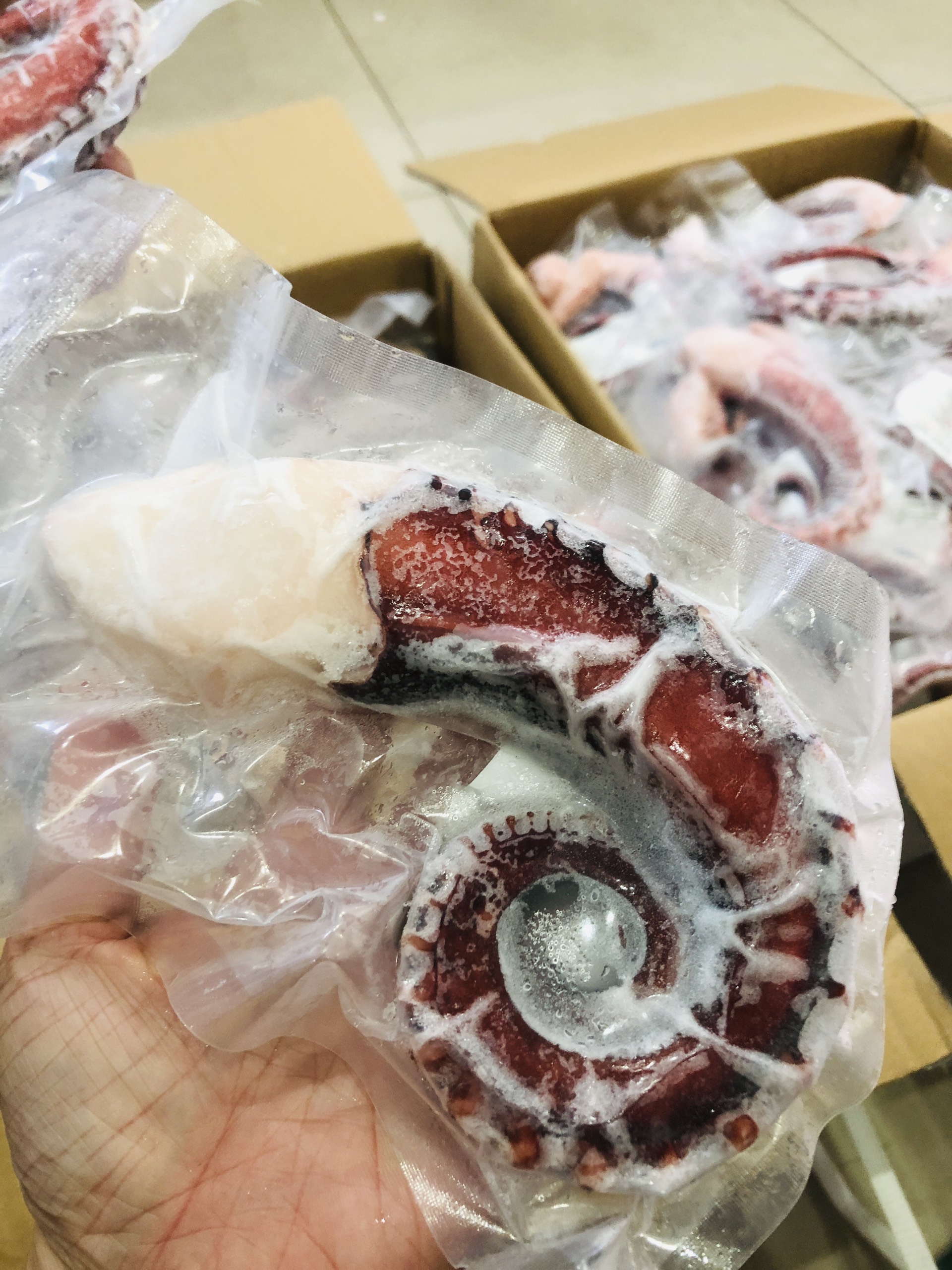 [GIAO NHANH 2H HCM] Giá Sỉ 1Kg Râu Bạch tuộc Nissi