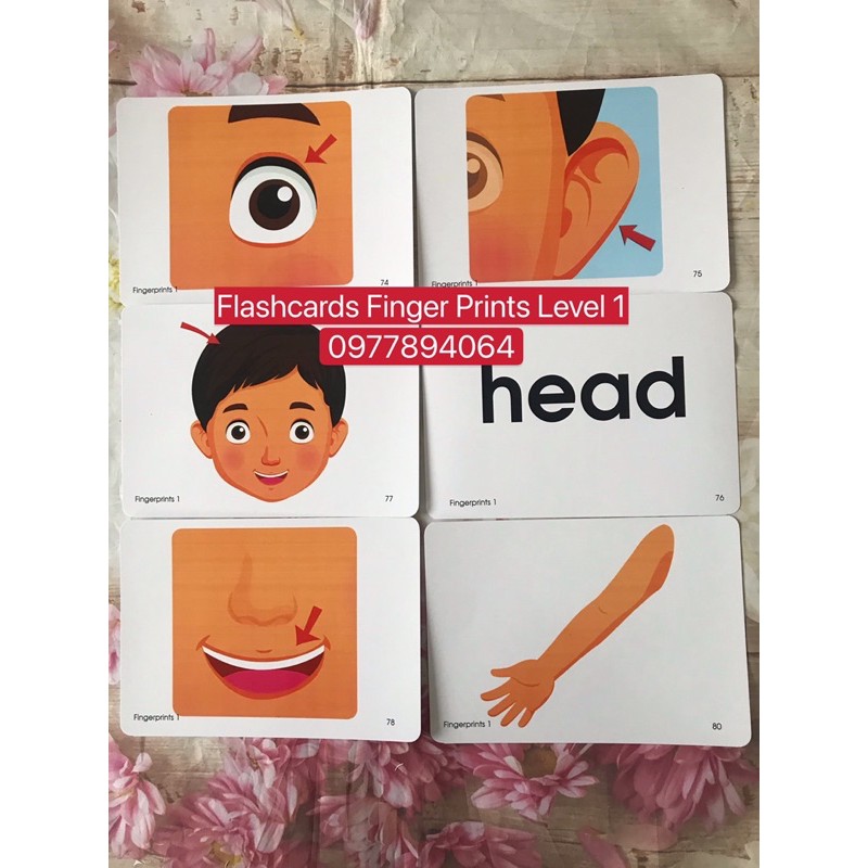 Flashcards Finger Prints Level 1-2