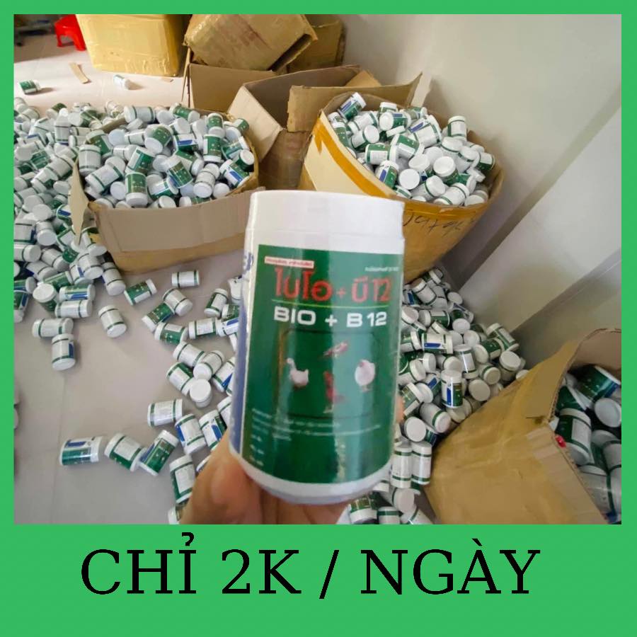 BIO B12 ÚM GÀ CON THAILAN