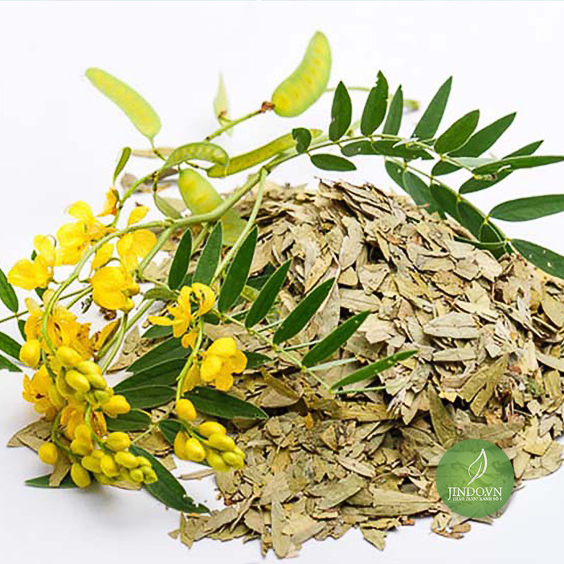 Lá phan tả diệp (gói 1kg khô) - LV069