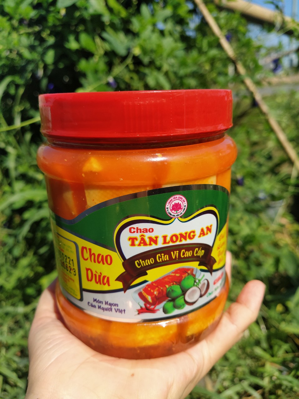 [Hỏa Tốc không nát] Chao Dừa Đặc Sản Tân Long An Ăn Là Ghiền