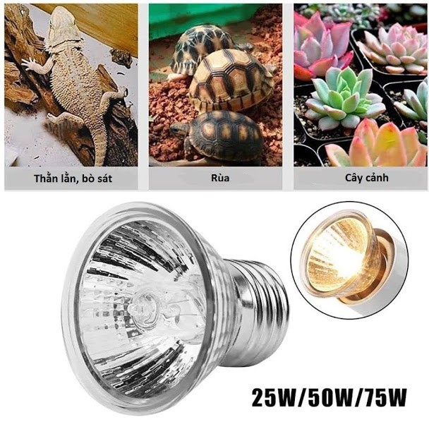 [hot sale] Đèn sưởi UVA + UVB 3.0 cho bò sát Nomoy pet