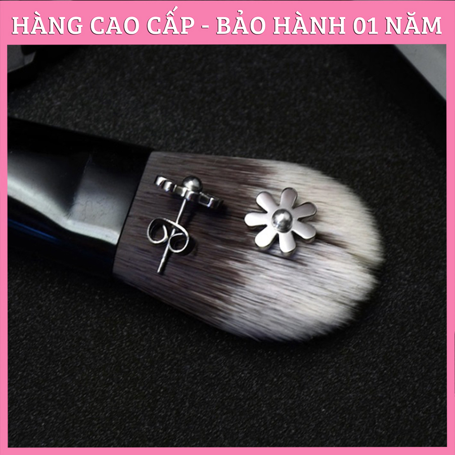 Bông Tai Nữ, Hoa Tai Titan Cúc Họa Mi