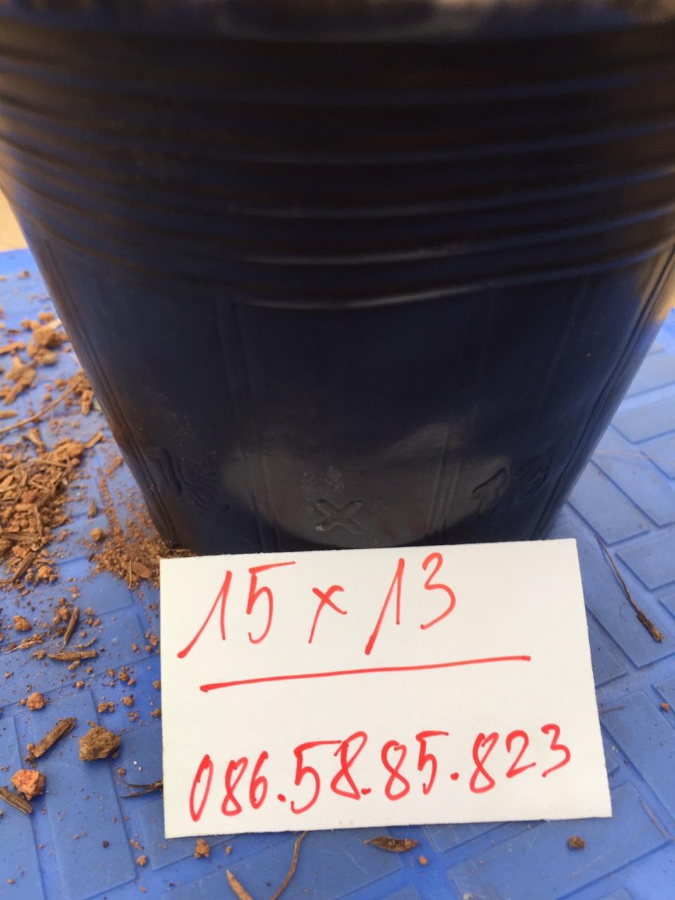1kg túi bầu ươm cây cỡ 15x13