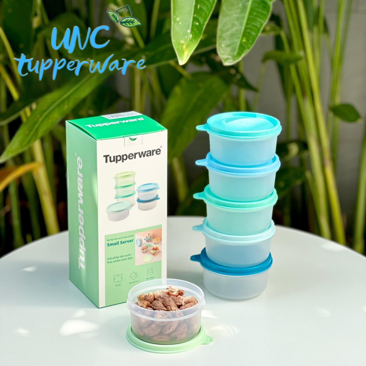 Bộ hộp bảo quản thực phẩm Tupperware Small Server 200ml (6 hộp) - Màu mới
