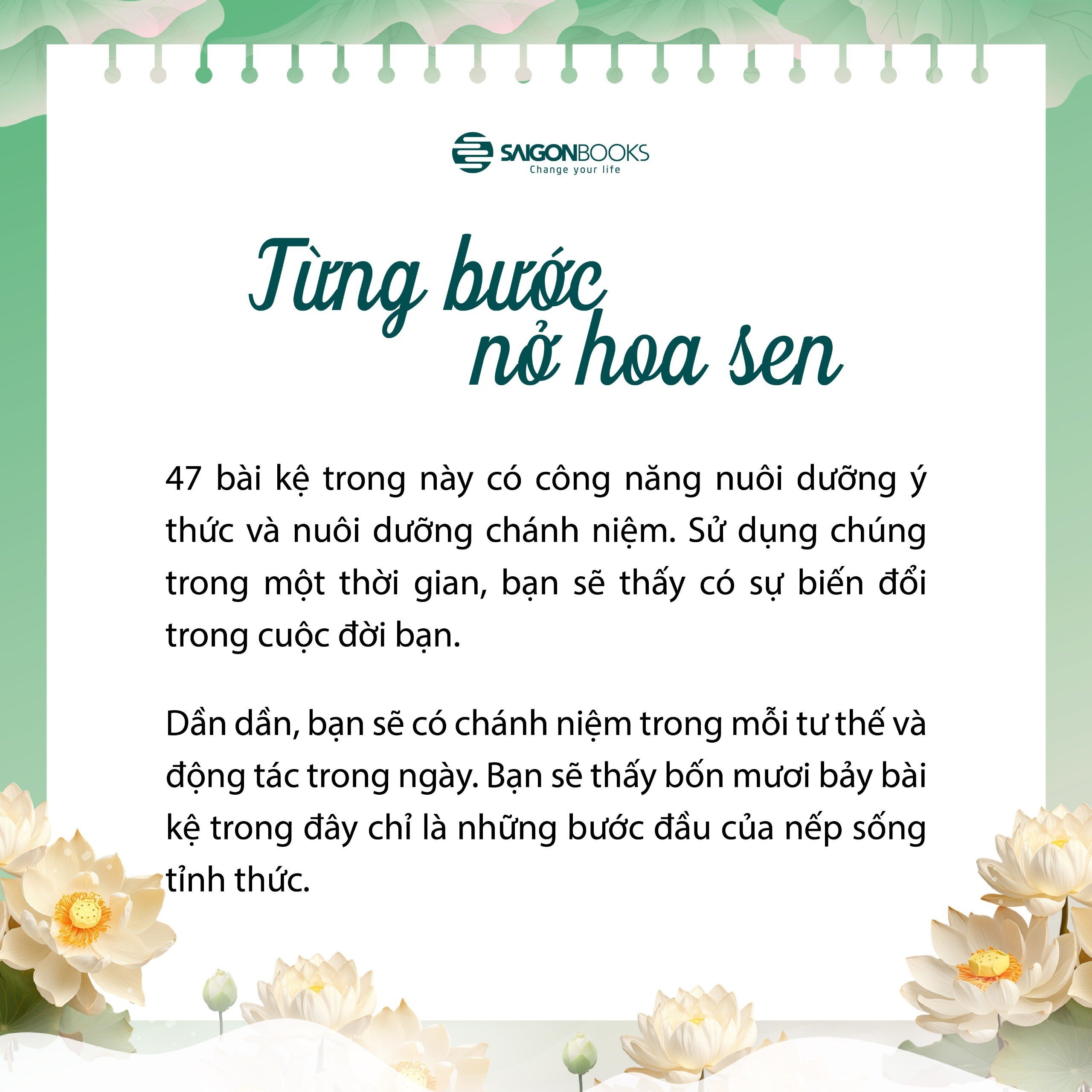 Cá Chép - Từng Bước Nở Hoa Sen