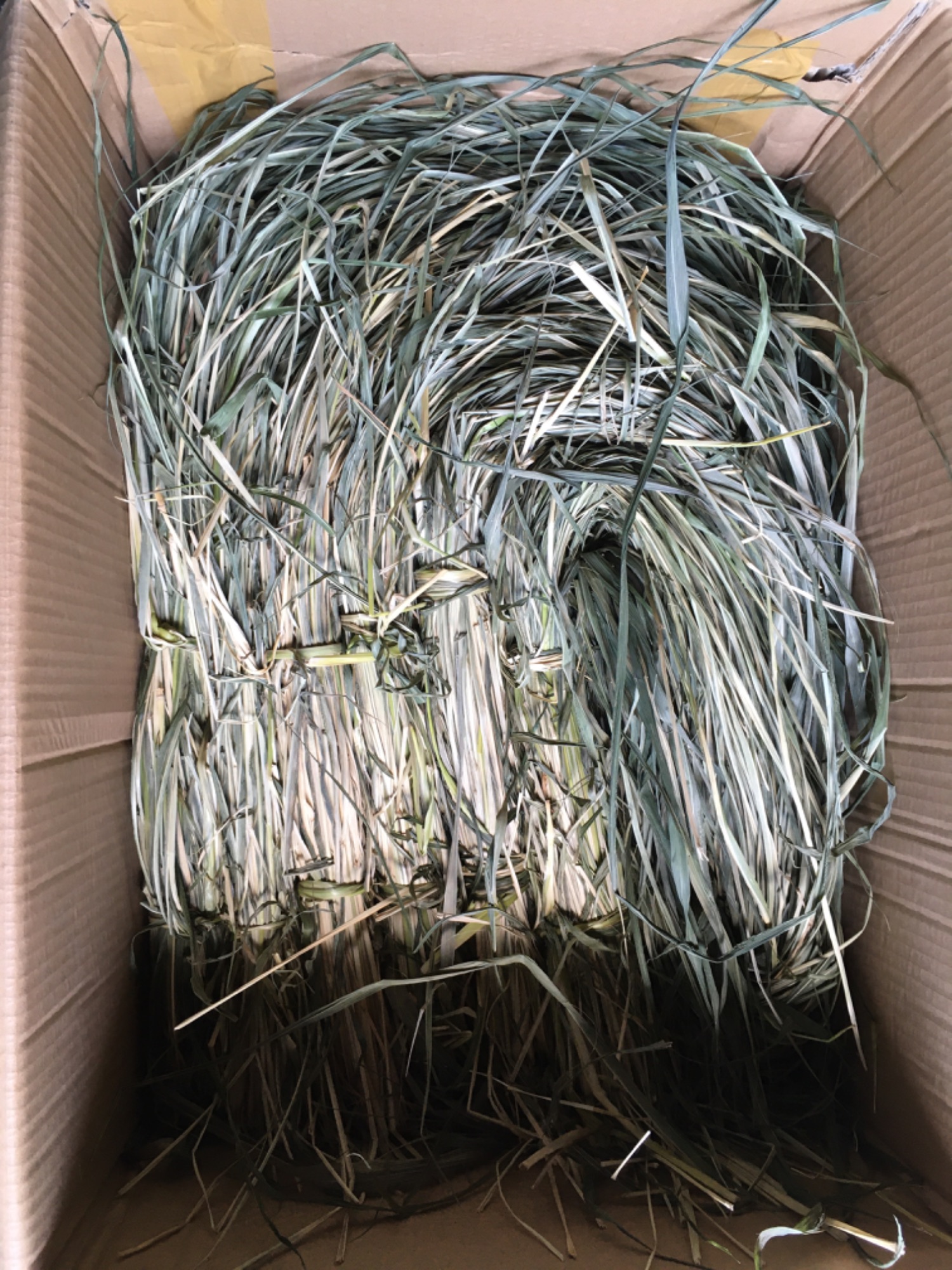 1 kg cỏ sả lá lớn ( cỏ phơi khô ). Làm thức ăn  cho thỏ bọ
