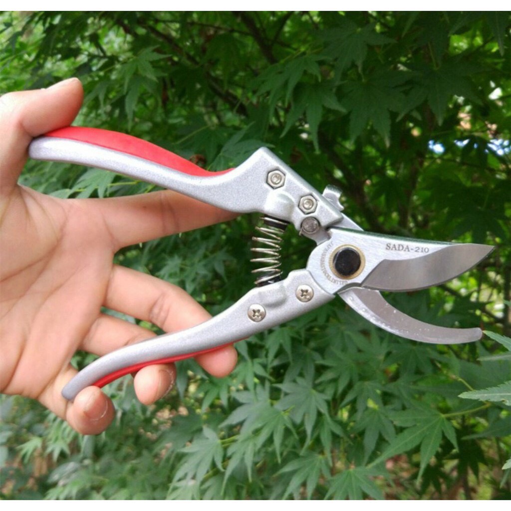 Kéo cắt tỉa cành cây nhật bản
